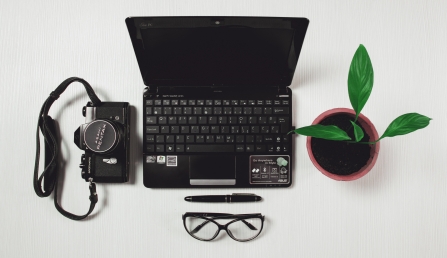 camera, laptop and plant