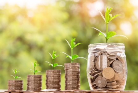 shoots growing from coins