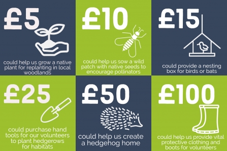 What a donation could help us provide