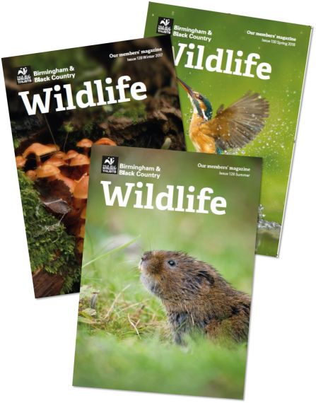 Local 'Wildlife' Magazine
