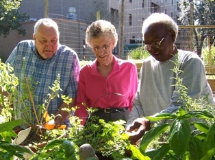 Elderly in nature