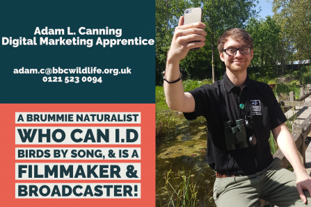Adam L. Canning - Digital Marketing Apprentice