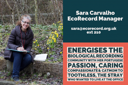 Sara Carvalho, EcoRecord Manager