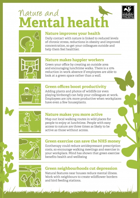 Nature & Mental Health Infographic