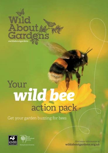 Wild Bee Action Pack