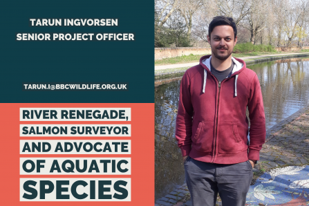 Tarun I - Senior Project Officer