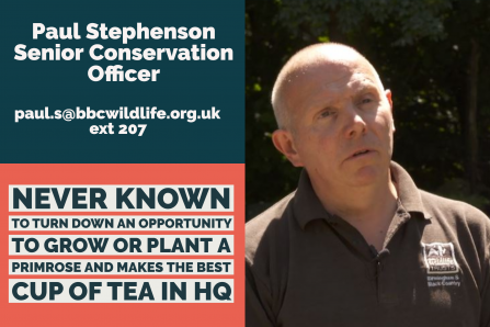 Paul - Senior Conservation Officer