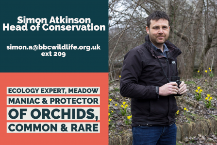 Simon - Head of Conservation