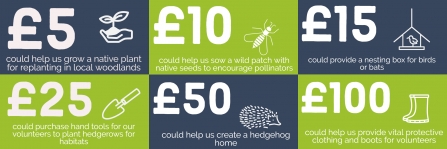 What your donation could help us do