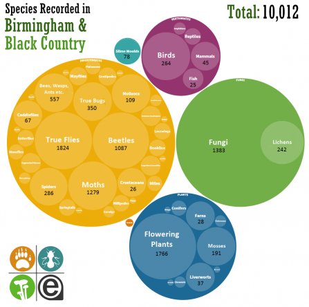 Infographic of species recorded