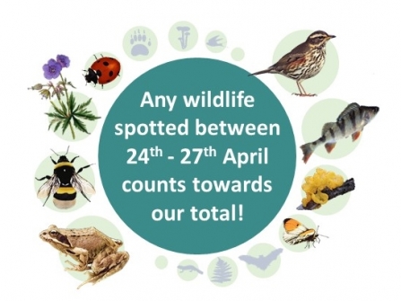 Any wildlife spotted between 24th & 27th April counts towards our favour