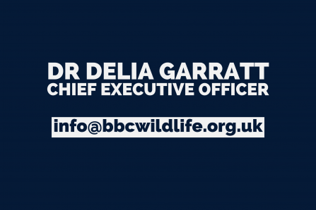 Dr Delia Garratt, CEO - info@bbcwildlife.org.uk