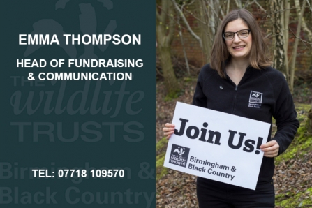Emma Thompson - Head of Fundraising & Communications