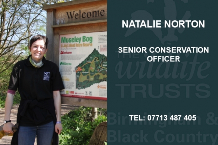 Natalie Norton - Senior Conservation Officer
