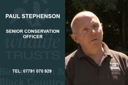 Paul - Senior Conservation Officer