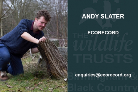 Andy Slater