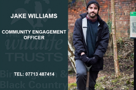 Jake Williams
