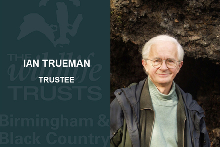 Ian Trueman