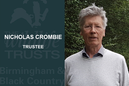 Nicholas Crombie