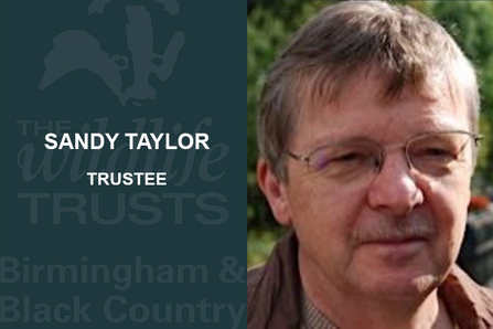 Sandy Taylor