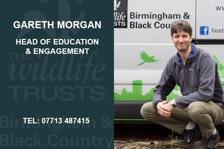 Gareth Morgan - Head of Education & Engagement