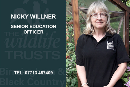 Nicky Willner