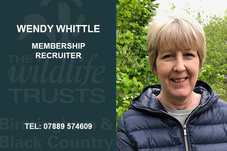 Wendy Whittle