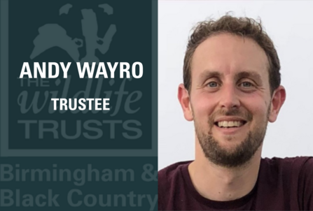 Andy Wayro