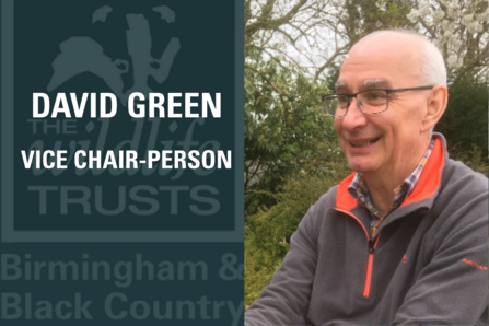 David Green