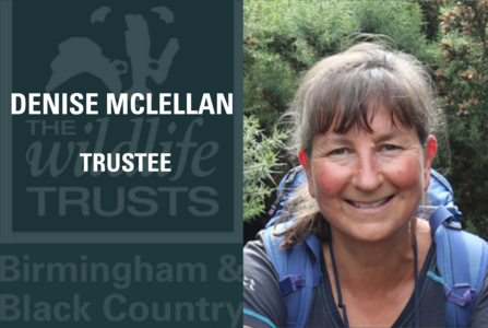 Denise McLellan