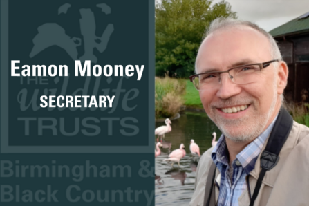 Eamon Mooney