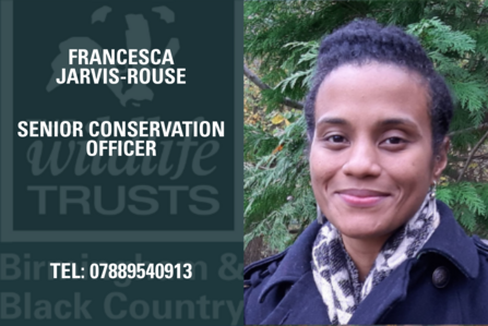 Francesca