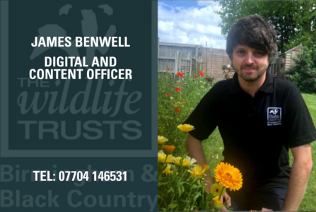 James Benwell