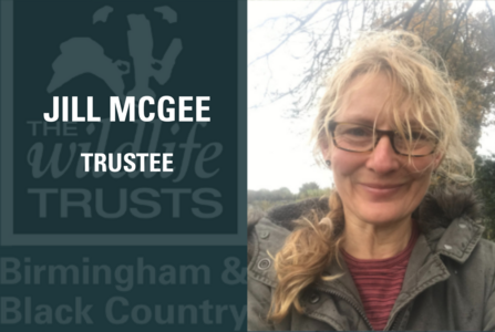 Jill McGee