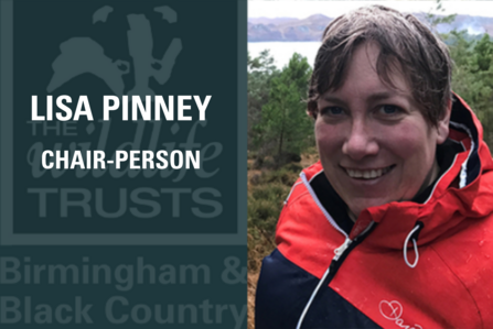 Lisa Pinney