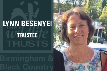 Lynn Besenyei