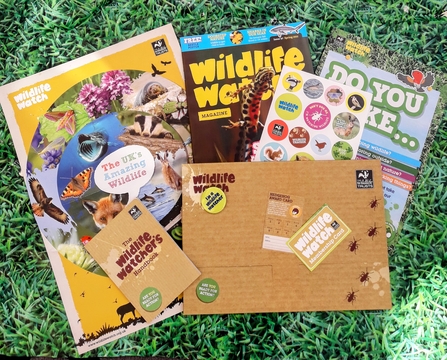 Wildlife watch pack