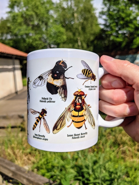 Hoverfly Mug