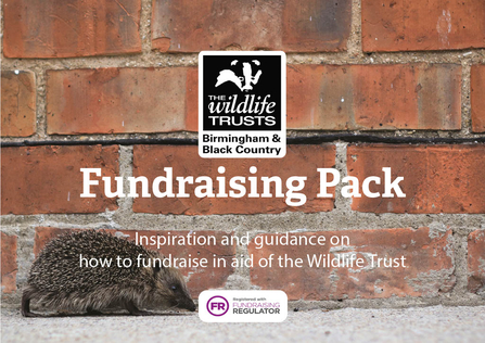 Fundraising pack