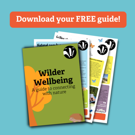 wilder wellbeing