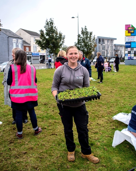 Sarah planting