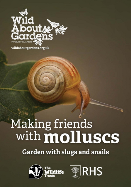 Molluscs
