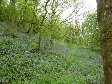 Park Hall Nature Reserve