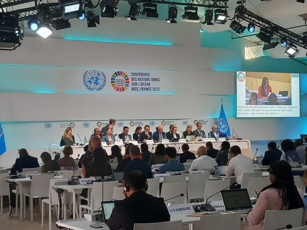 A room at the United Nations Oceans Conference with a panel of 11 people facing a room with delegates from different countries