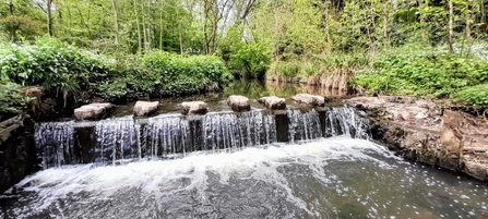 Man-made weir at King's Norton Nature Reserve