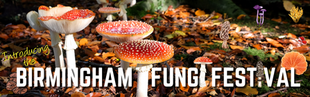Birmingham Fungi Festival