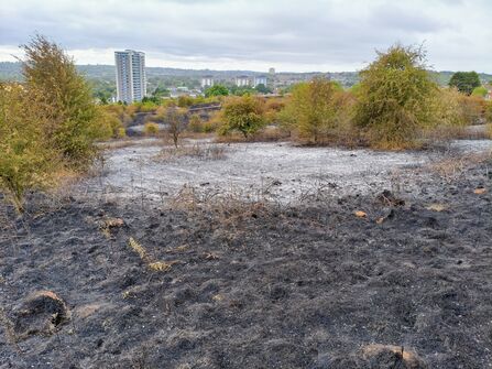 Portway Hill fire