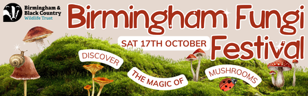 Birmingham Fungi Festival