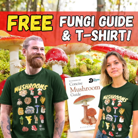 Fungi offer