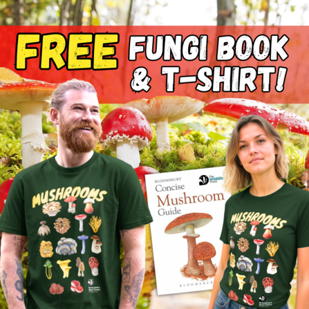 Fungi promo